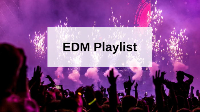 EDM Playlist